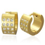 Rostfritt st�l �rh�nge med CZ sten (1st)